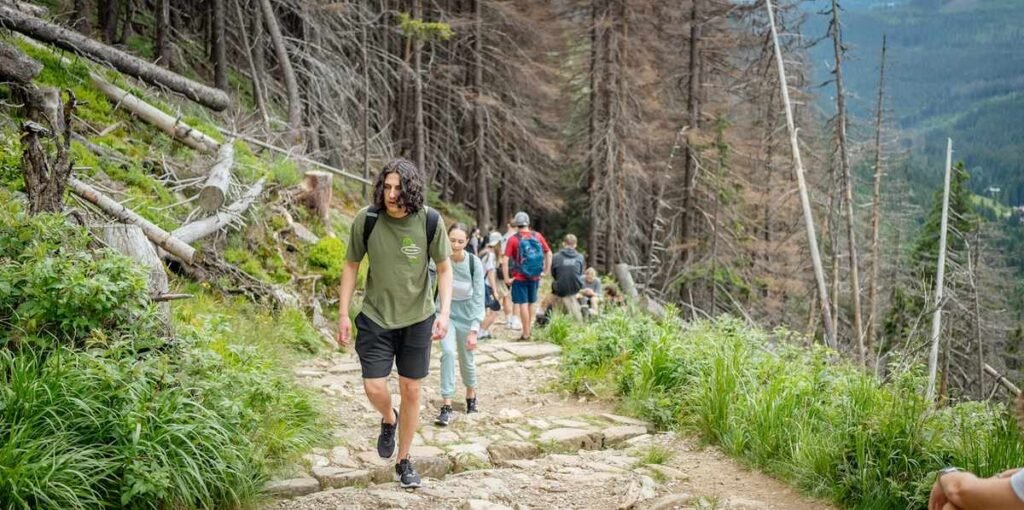 Train for hiking on real terrain: hikers climbing a rocky stone-step trail up a steep forest mountain