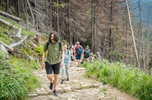 Train for hiking on real terrain: hikers climbing a rocky stone-step trail up a steep forest mountain