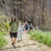 Train for hiking on real terrain: hikers climbing a rocky stone-step trail up a steep forest mountain